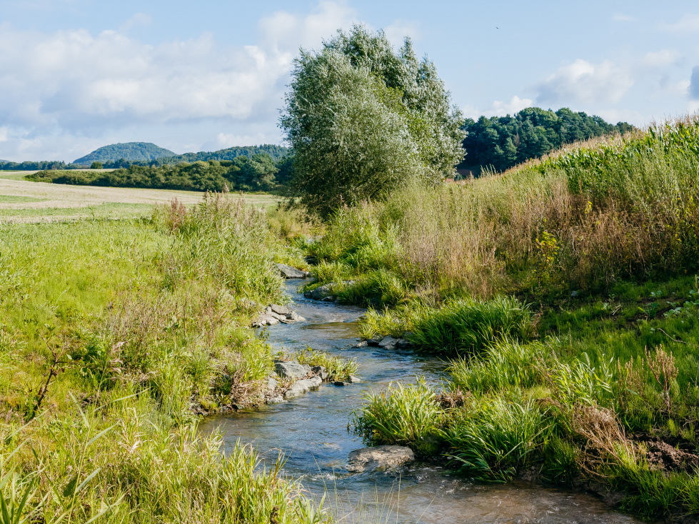 Förderung für Hochwasserschutz in Thüringen (im Bild: ein kleiner Fluss mit natürlichem Verlauf in sommerlicher Landschaft)